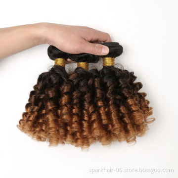 9a 100g SPARK Ombre Brazilian Remy Human Hair Weaving Bundle for Women Weave Extension Black Brown Aunty Funmi FUMI Bouncy Curl